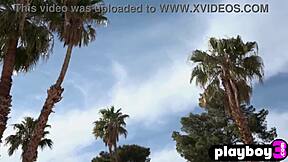 Podarłem ubrania i zrobiłem striptiz, pokazując moją wielką czarną dupę na zewnątrz, o czekaj, pozowałem idealnie dla was.