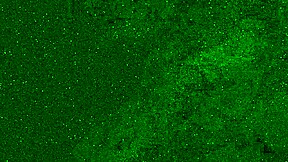 Meé en jeans y recibí ducha dorada en la cara ¡omg! 😱