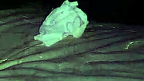 パーティー中出しオーギーのクローズアップで、ジューシーなオマ○コ唇から精液が滴る