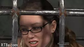 Four Gals Trapped Inside Petite Cage with Fierce Action