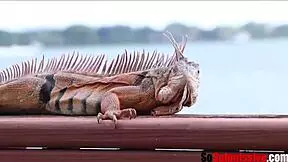 Teen Brunette Alex Blake Gets BDSM Bondage Fuck on Her Birthday