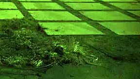 Trampling Domination with Extreme Edge