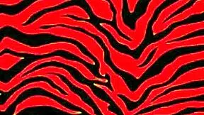 I need a new sugar for my big ebony ass