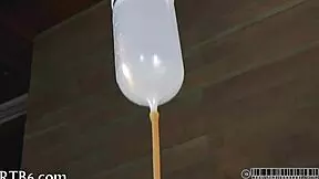 Four stunning beauties trapped in petite cage 😲