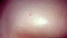 amateur latina teen gets doggystyle fucked and creampied 😍