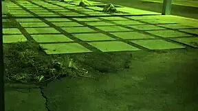 teen partners enjoy a creampie with a babe in modern style