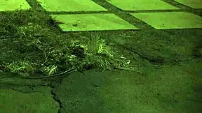 Extreme fuck hard unless youre from the sixties