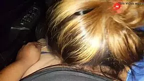 Young Amateur Sucking Cock In Truck