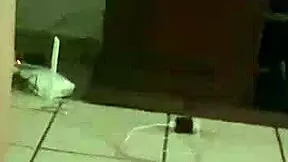 can this 18-year-old latina babe with huge tits and ass seduce me at home?