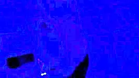 Bruja Come Hombres Captada en Camara