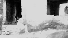 Chupando Muitas Bucetas in Wild Oral Sex Party at Ellas4 Com