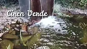 i'm watchin my naughty inked babe ciren verde gettin her tits worshippd by young girl