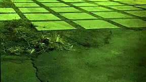 too rough unless youre from the sixties and delve that earth milf