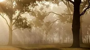 I took my girlfriend to the farmhouse for wild cock action