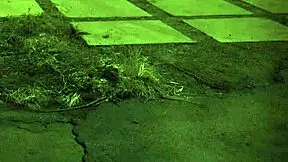 Horny teen 18+ homemade bdsm bondage domination sex with bound amateurs