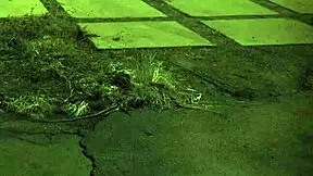 Solo Fingering Squirt Unless You're From Here