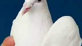 rekonfiguration eleven featuring nothing but everything in a story