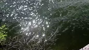 Asian Teens Fucked Hard For Shoplifting!