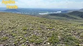 Agatha Rides Stranger Publicly!