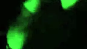 Sexy Brunette Teen Flashes Pussy And Panties Before Risky Outdoor Blowjob