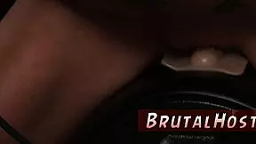 Felicity Feline excites tourists.