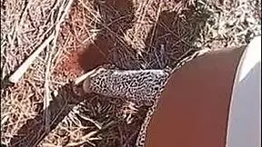 Outdoor anal adventure for young lovers