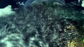 Parte9 - Fell Off Moto, Still Fucked Hard