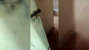 wife enters bar without panties displays pussy in public voyeur scene 😈