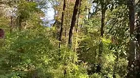 stepsister gives sloppy blowjob takes messy facial