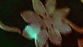 We went on a trip together