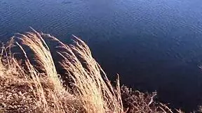 Angel Love and Don Whoe Keep It Spicy