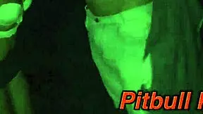 did the cock sing in the night without anyone seeing?