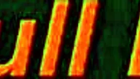 did the cock sing in the night without anyone seeing?