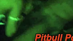 did the cock sing in the night without anyone seeing?