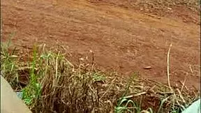 Did I impregnate my sister-in-law in this gangbang?