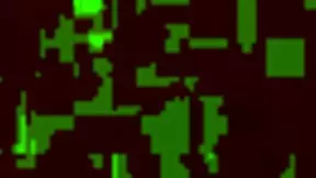 anal amateur teen gets assfucked