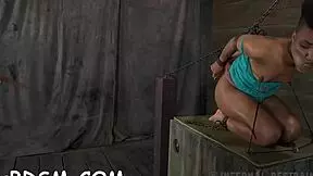 Bound babe receives blowjob and doggystyle fucking.