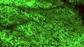 hey, this babe is giving a blowjob to a milf with big tits and ass