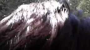 Big black cock deepthroat action