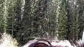 Petite latina sucks huge cock swallows cum