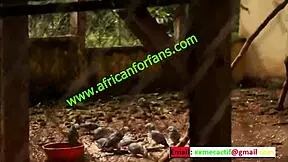 naughty bareback encounter in zoological park with big black cock