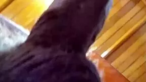 pastor says, 'choke on my cock, girl, special work for you'