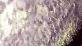 i kiss my young cousin while she sleeps, licking her pussy softly... oops, i mean passionately