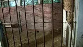 hot brunette 18 yo girl gives blowjob to perverse old man