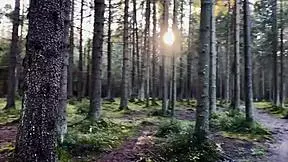 Babe swallows cum deep