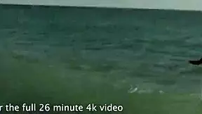 Florida teen poses naked on beach with tiny tits!