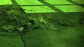 brazilian bdsm delves into extreme domination and hardcore sex