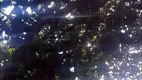 Brazilian dancer offers her ass in outdoor park