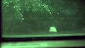 Teen Stepsister Gets Rimmed and Assfucked