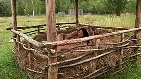 hot brunette girl gets banged in outdoor barn